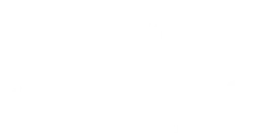Blue Fire Co. logo: Denim to burn for